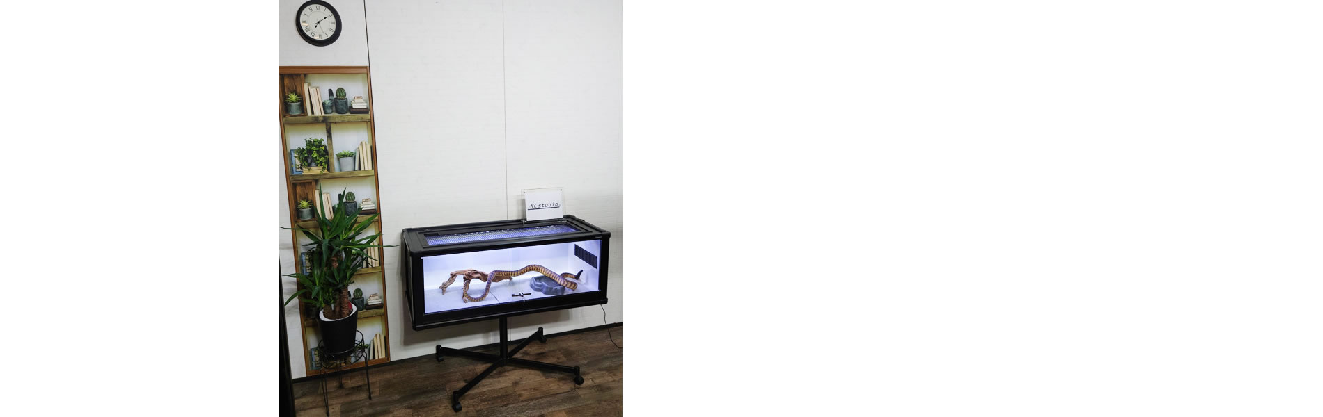 アールシースタジオ | RC studio 製の爬虫類ケージは、軽量で耐久性に